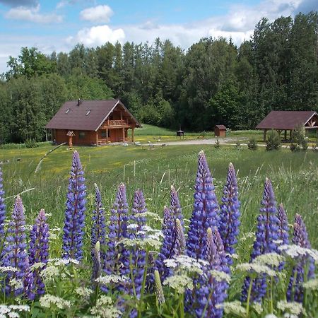 Guest House Kalnini Kārļi Exteriör bild