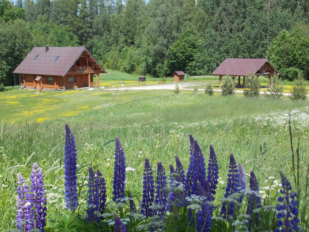 Guest House Kalnini Kārļi Exteriör bild