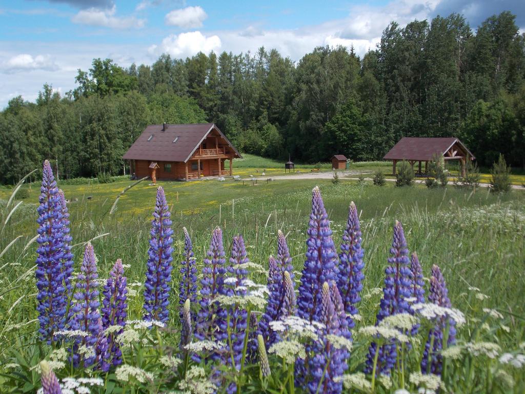 Guest House Kalnini Kārļi Exteriör bild